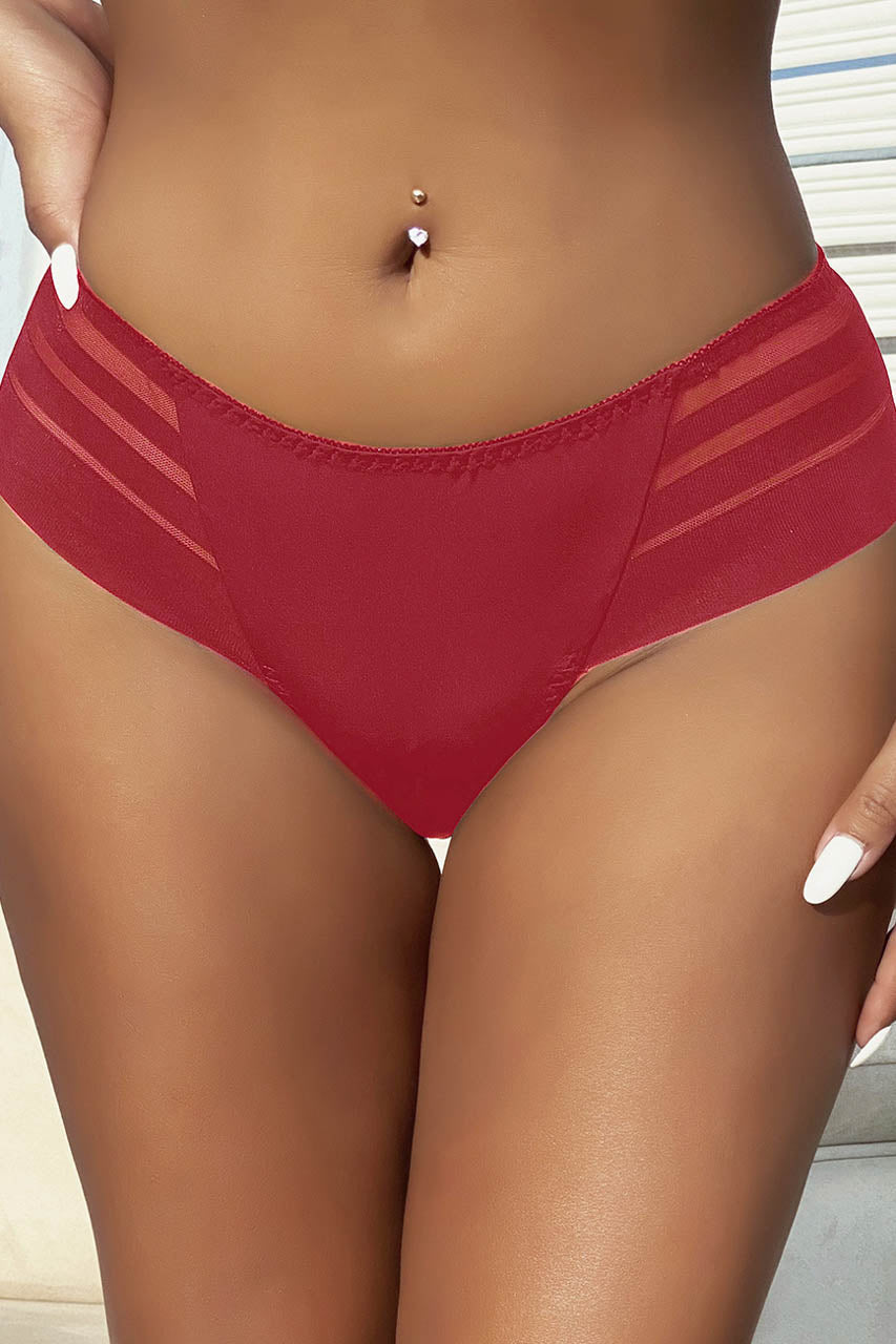Stripe Mesh Bikini Panty