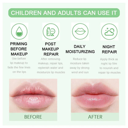 18 Sytle Fruit Lip Balm Lip Oil Moisturizing Clear Anti-Wrinkle Lipstick Long Lasting Hydrating Lipgloss Cosmetic Lip Gloss Care